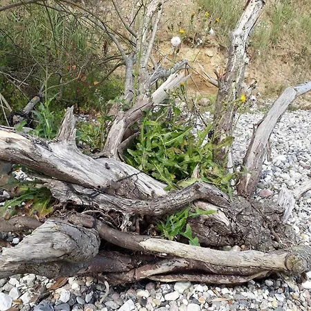 8 Person In Haderslev-by Traum * Årøsund
